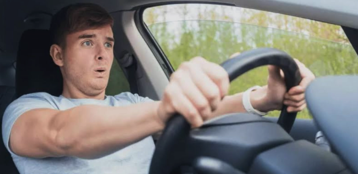 Rijangst in Nederland